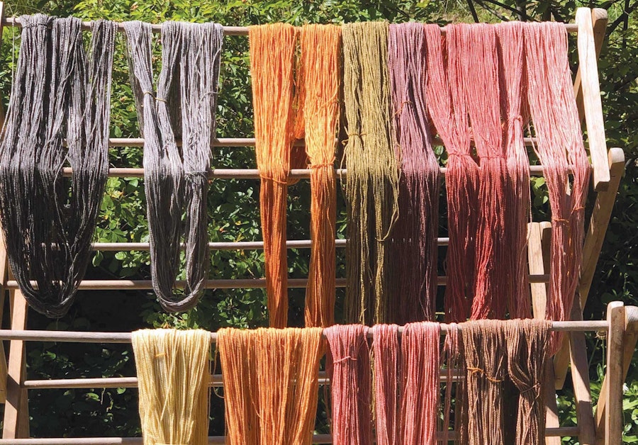 Always Say Dye Image