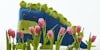 Whip Stitch Tutorial Image
