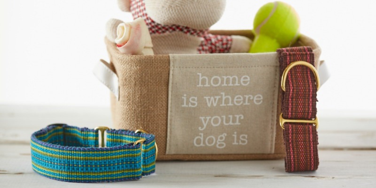 The Well-Dressed Pup Collar Primary Image