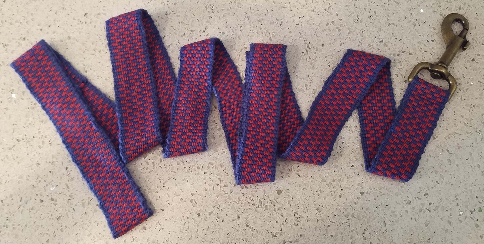 Nothing Says Happy Fourth! Like a Dog Leash Primary Image