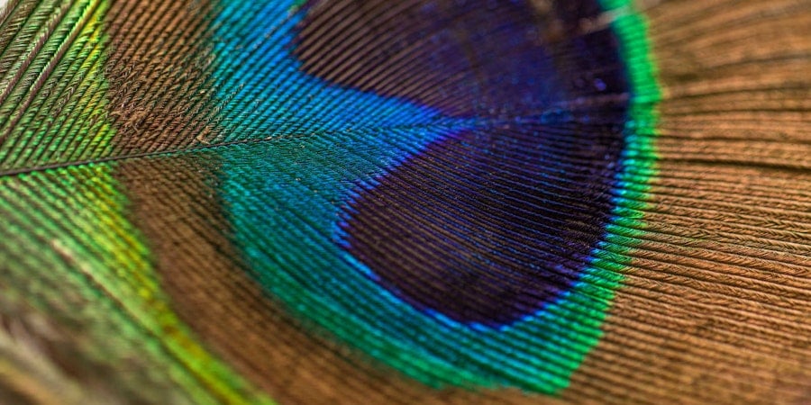 Iridescence on Simple Looms? Yes, you can! Image