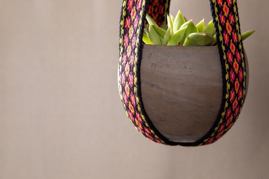 Project Spotlight: Plumeria Plant Hanger Image