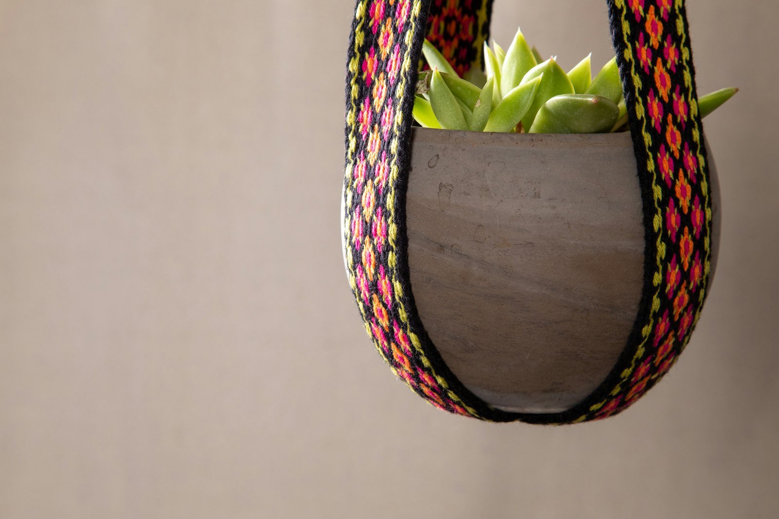 Project Spotlight: Plumeria Plant Hanger Primary Image