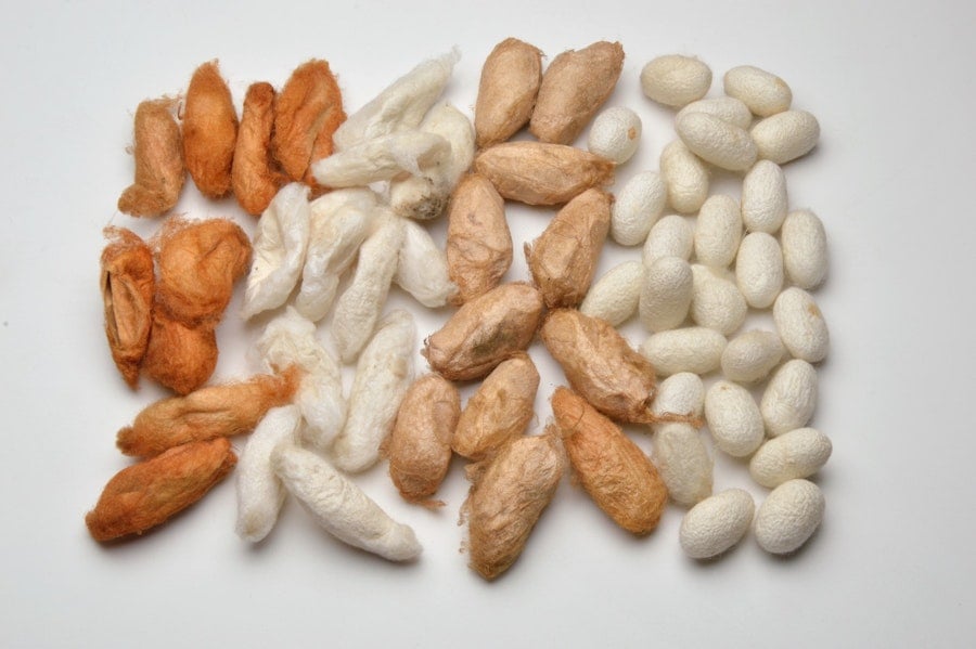 Skill Guide: Weaving with Silk Image