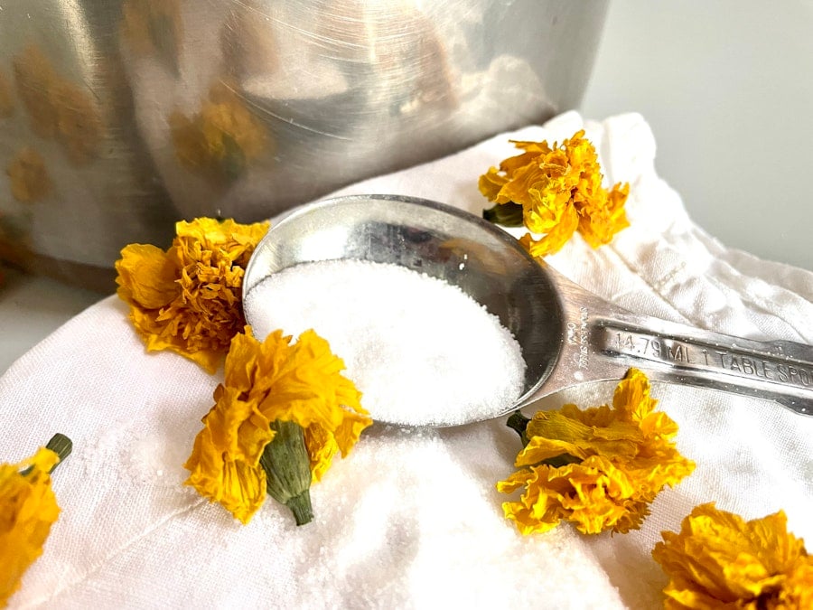 5 Things to Know Before You Start Natural Dyeing Image