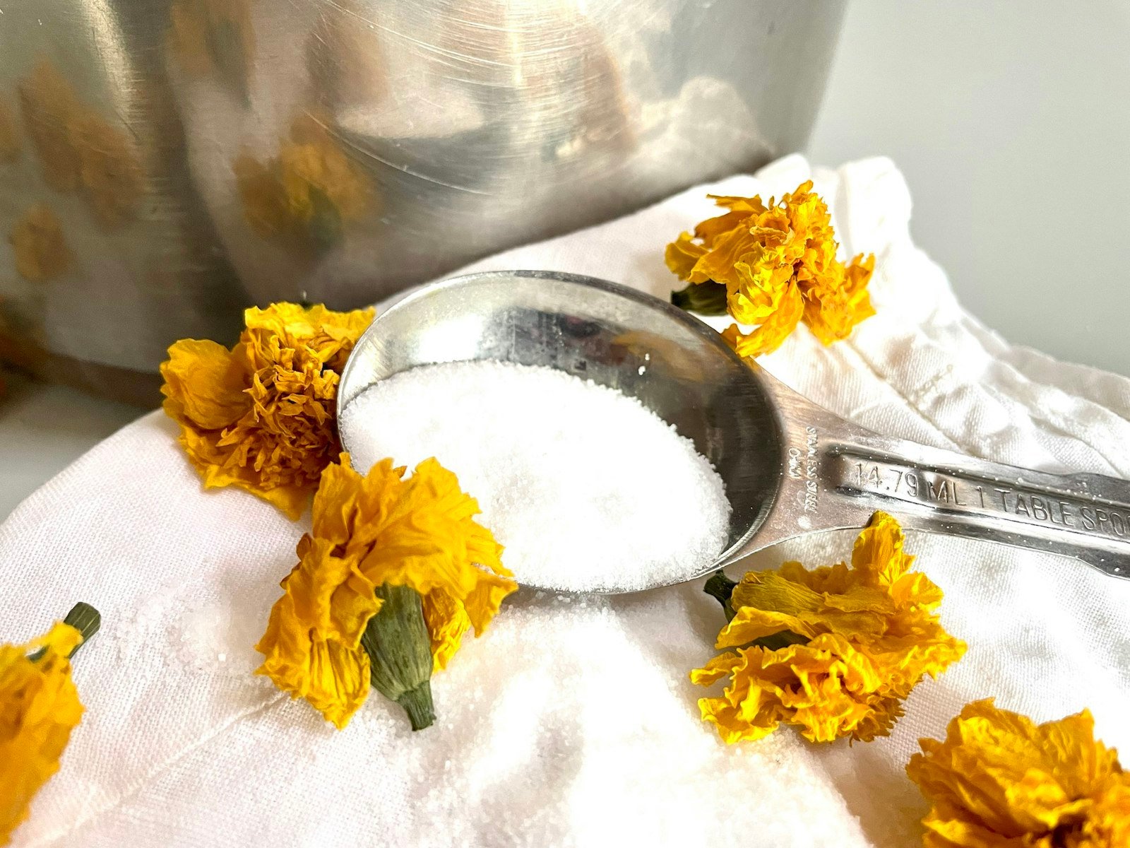 5 Things to Know Before You Start Natural Dyeing Primary Image